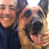 Present Dog Walker