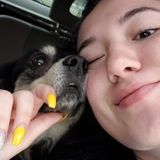 I want to watch over your pets!
