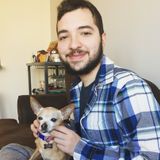 New Paltz, New York Dog Sitter