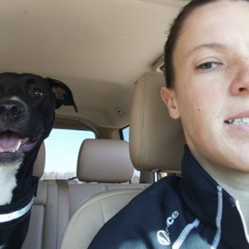 Pet Care Provider Marisa L's Profile Picture