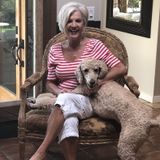 Hard Working Housesitter for Hire