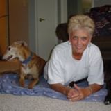 Excellent Pet Sitter Bonded/Insured/References/CPPS Certification