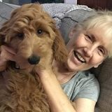 For Hire: Qualified Dog Sitter in Delray Beach, Florida