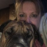 Pet sitter