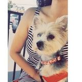 Professional pet caregiver and pamper! Offering walking, bathing/light grooming and ocasional boarding services.