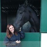 Large and small animal care