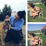 Seeking Deerfield Beach Pet Carer, Florida Jobs