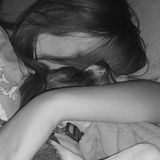 Loving and Caring Dog Sitter Available Immediately