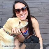 Pet Sitter Available Anytime