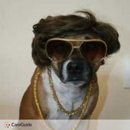 Pet Care Provider John G's Profile Picture