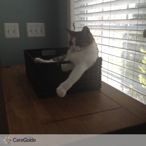 Pet Care Job Michelle M's Profile Picture
