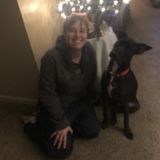 San Marcos Petsitter Interested In Work