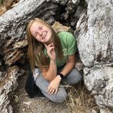 For Hire: Wonderful Home Sitter in Kansas City, Missouri