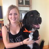 Trustworthy Animal-Loving Pet Sitter