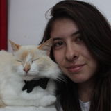 Available For Pembroke Pines Dog and cat Sitting Professional Jobs