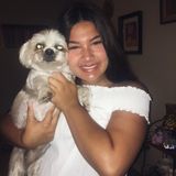 Available: Well Trained Pet Groomer in Cathedral City, California
