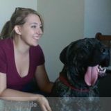 Loving Pet Care for Any of Your Furry Family Members