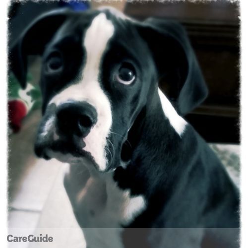 Pet Care Job Barbara R's Profile Picture