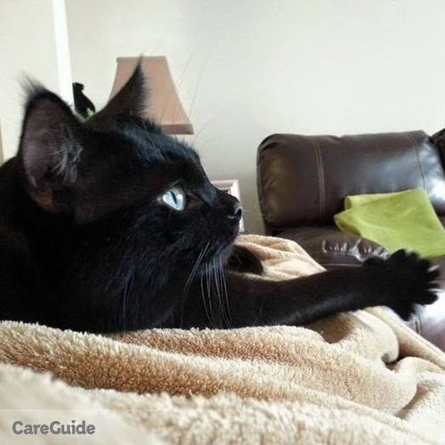 Pet Care Job Rachel Weaver's Profile Picture