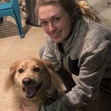 Affordable caretaker ready to give your fur babies the best time ever