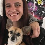 Flexible dog walker and pet sitter, available immediately. Have experience with many types of animals