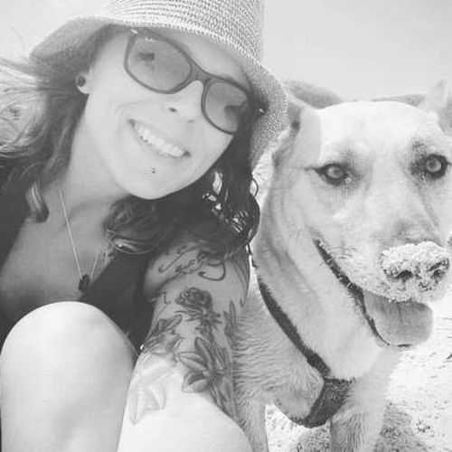 house sitting holidays