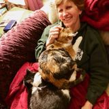 Hiring a Passionate House and Pet Sitter