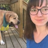 Part-Time Sitter