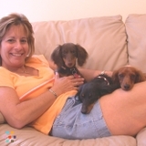Anything's Pawsible Pet Sitting