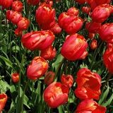 Stittsville Nanny Posting (20hrs/wk)