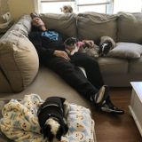 I am a Pet Lover with experience