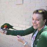 Animal enthusiast, really just wants to spend time with animals and be a nurturing carer for your furry family. Amarillo, TX.