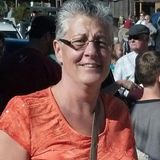 Housesitter and More