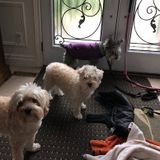 Looking for a live-in nanny for our 2 month old baby boy