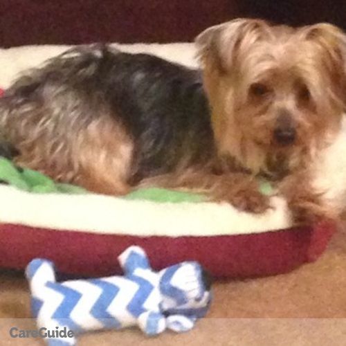 Pet Care Provider D'Ann F's Profile Picture
