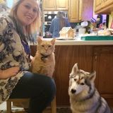 Available For Hoschton Pet Care Provider Opportunity