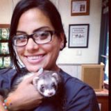 Animal Serenity at its best with home pet sitting!