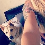 Vancouver Pet Carer Interested In Job Opportunities