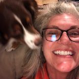 Available: Accountable House & Pet Sitting Service Provider in Northern Colorado