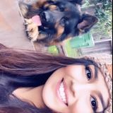 Flexible House Sitter for Hire
