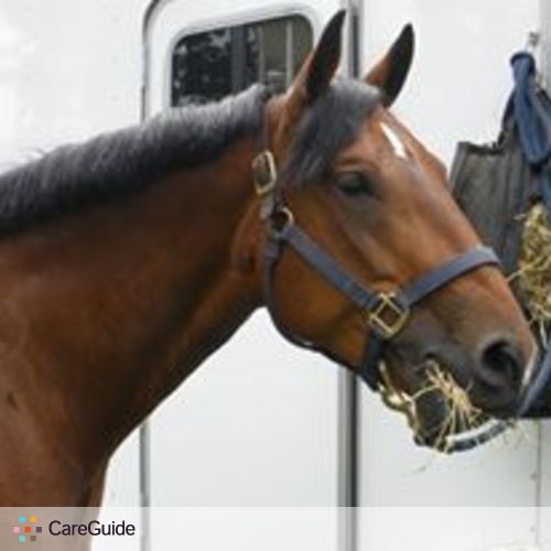 House Sitter Provider Jackie P's Profile Picture