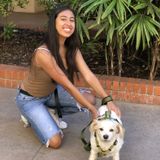 Dog Walking Offered in Bonita