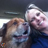 Your pets new best friend!