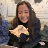 Available For San Pedro Animal Caregiver Opportunity