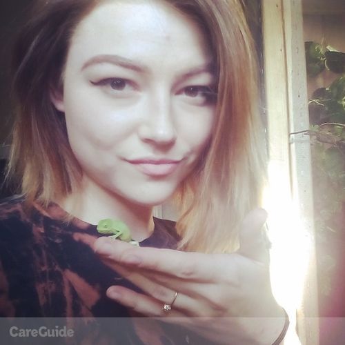 Pet Care Provider Kailah B's Profile Picture