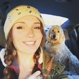 Experienced Dog walker