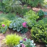 I bring beauty right to your doorstep!