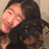 Available: Knowledgeable Pet Walker in Calgary