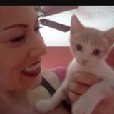 Available: Good Pet Sitter in Lombard, Illinois. Full availability til end of October!