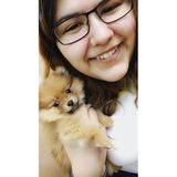 Pet care provider